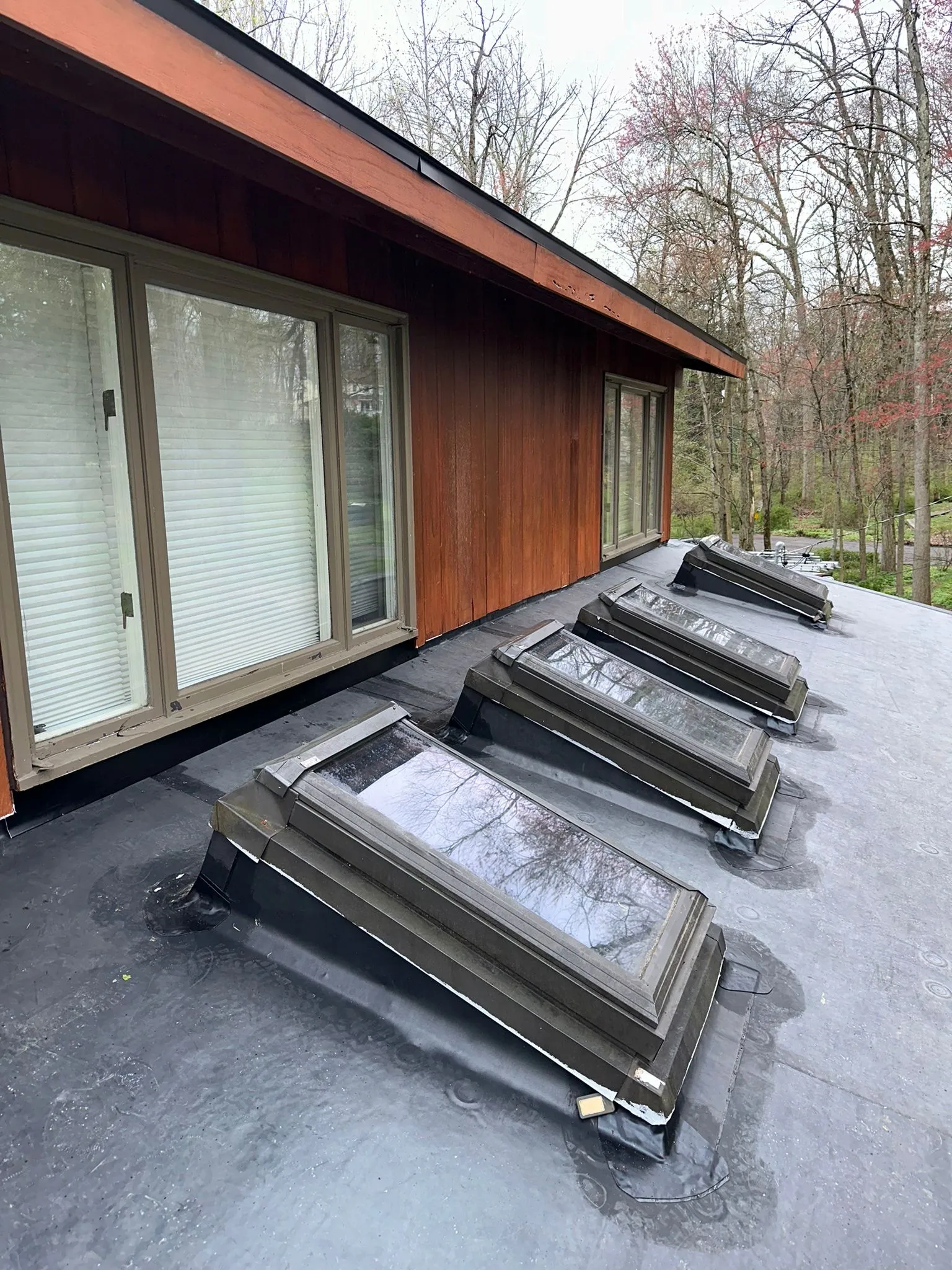 Four skylights reset into the new EPDM roof with fresh black flashing along the cedar-sided wall.