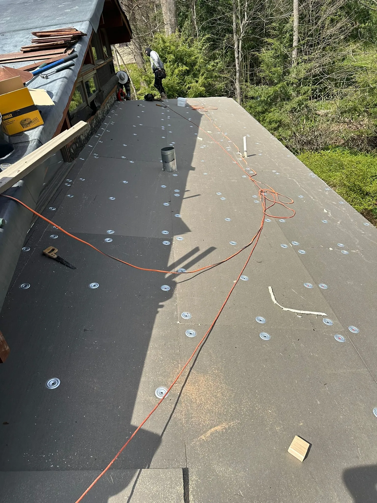 Insulation board secured with rows of fastener plates, an air hose running across the roof.